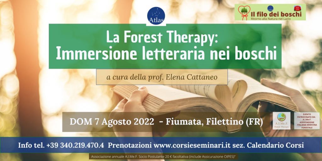 Forest Therapy Immersione letteraria nei boschi