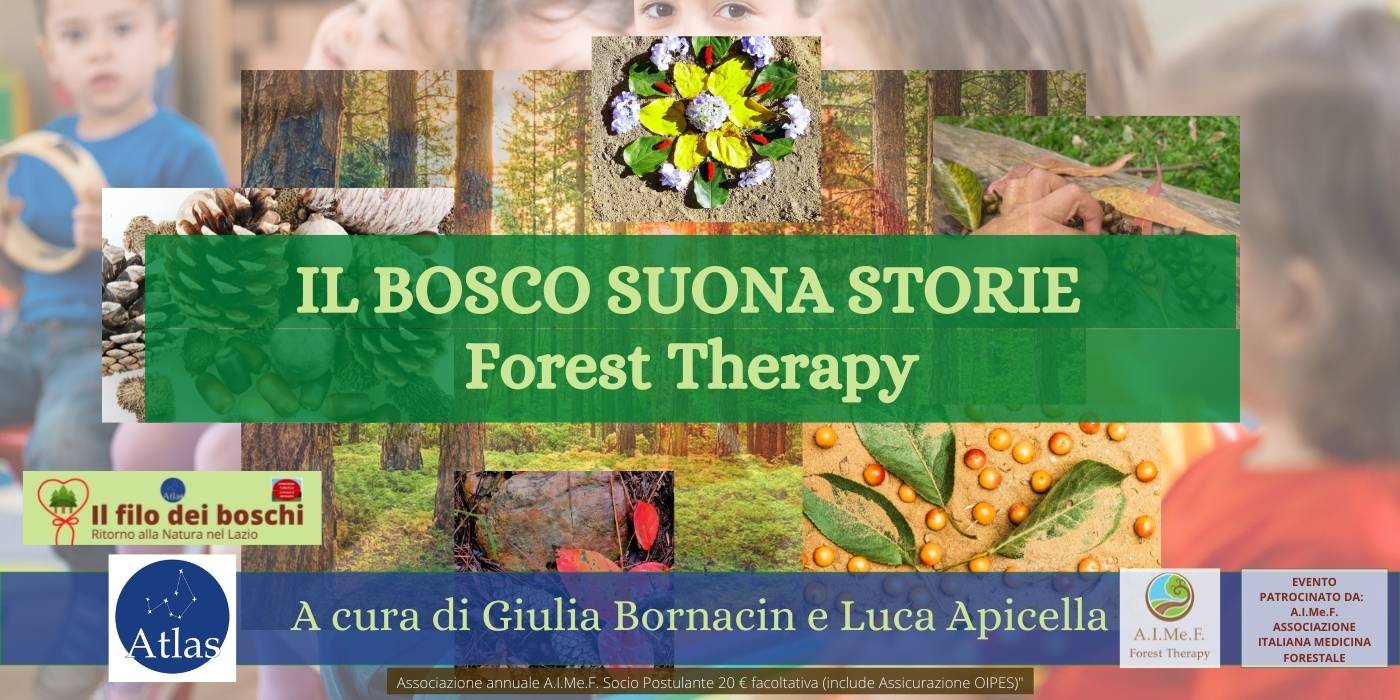 Forest Therapy il bosco suona storie