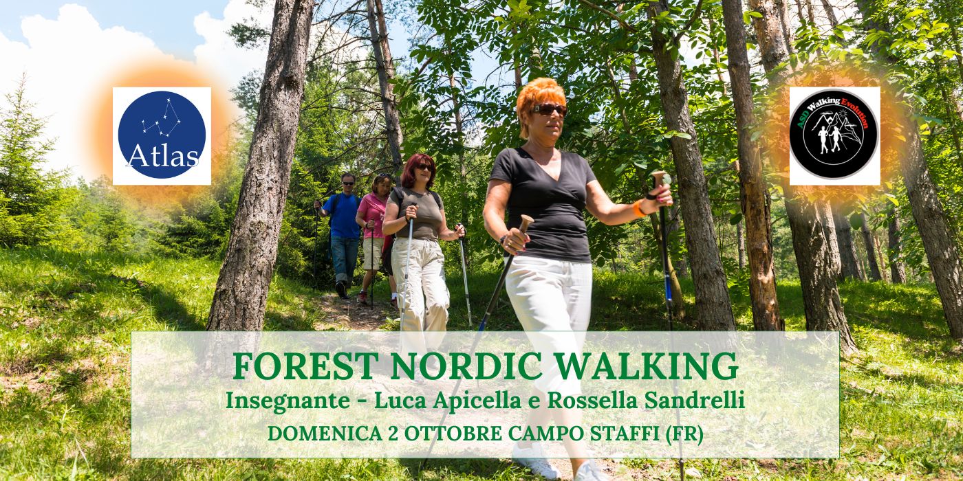 Forest Nordic Walking