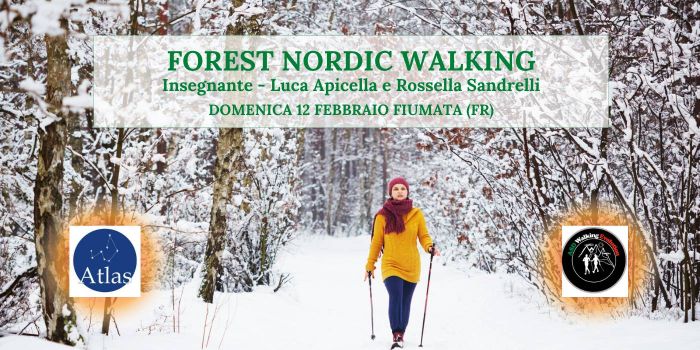 Forest Nordic Walking