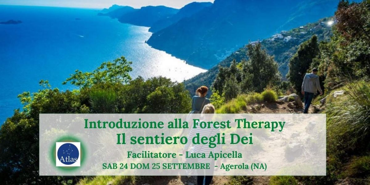 Il sentiero degli dei 7