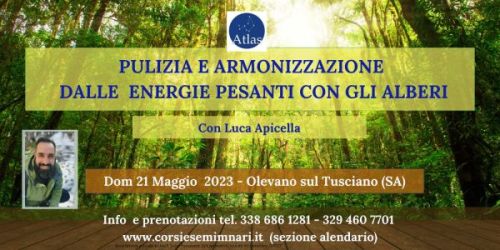 Pulizia dalle energie negative con gli alberi agosto